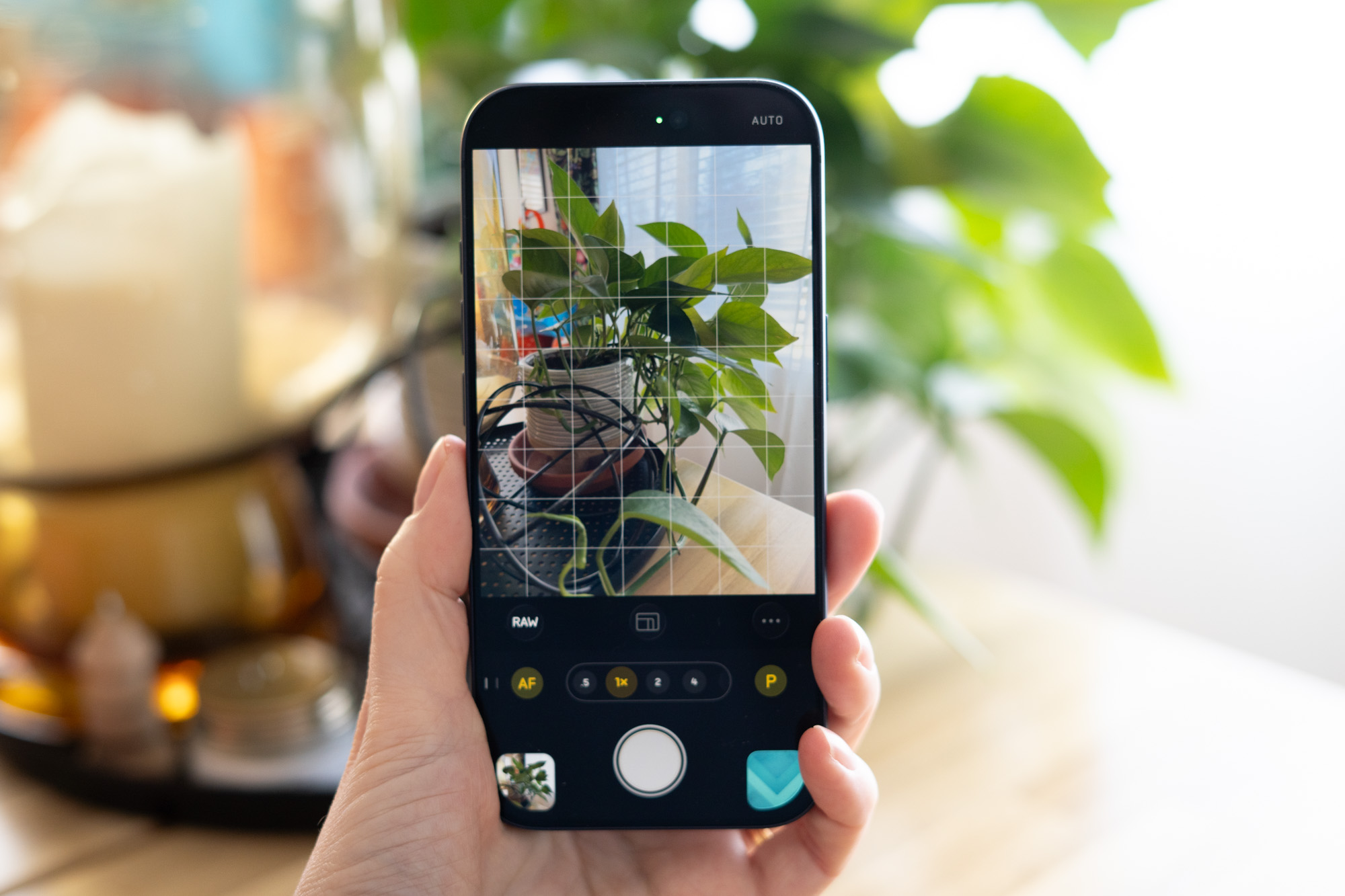 iPhone 的反算法相機應用經過處理後效果更佳