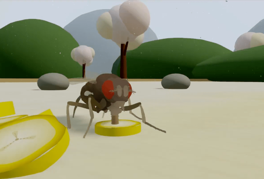 這不是一隻飛蛾上傳到電腦的照片